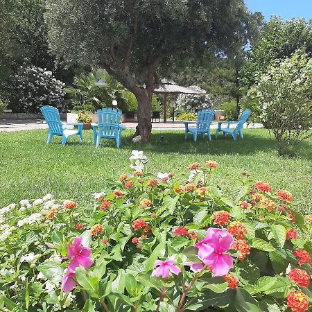 Hotel Parco Delle Rose Acquappesa Eksteriør billede