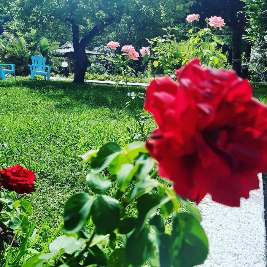 Hotel Parco Delle Rose Acquappesa Eksteriør billede